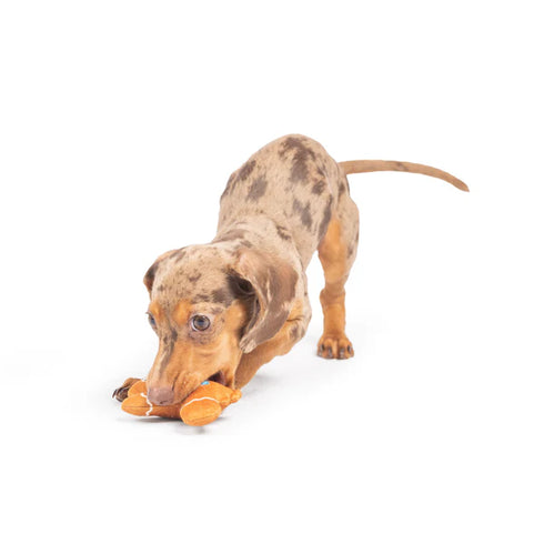 Huxley & Kent Tiny Tuff Ginger Snapped Dog Toy